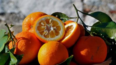 مهمترین خواص نارنج را بشناسید و آن را استفاده کنید